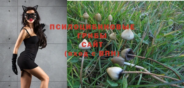 стаф Белоозёрский