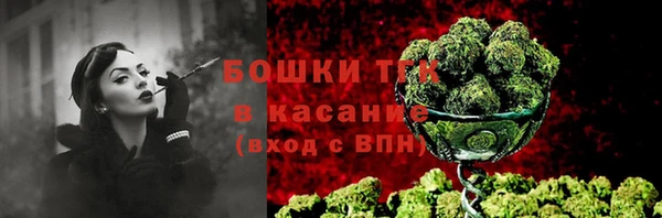 гидра Белокуриха