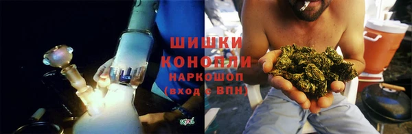 гидра Белокуриха