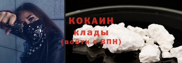 гидра Белокуриха