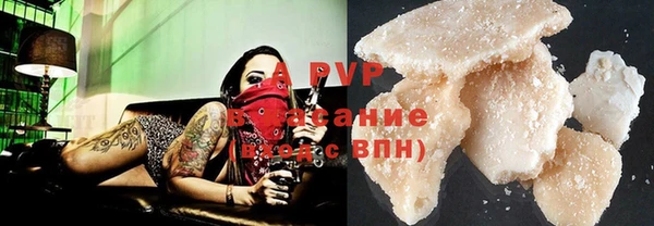 гидра Белокуриха