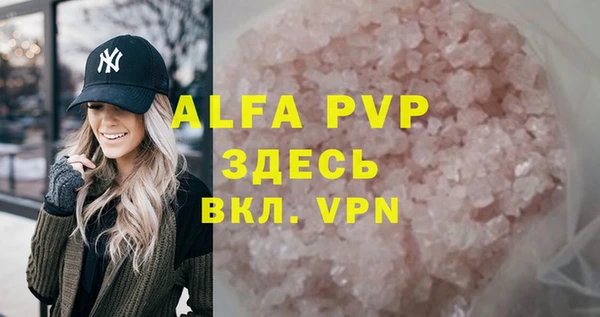 гидра Белокуриха