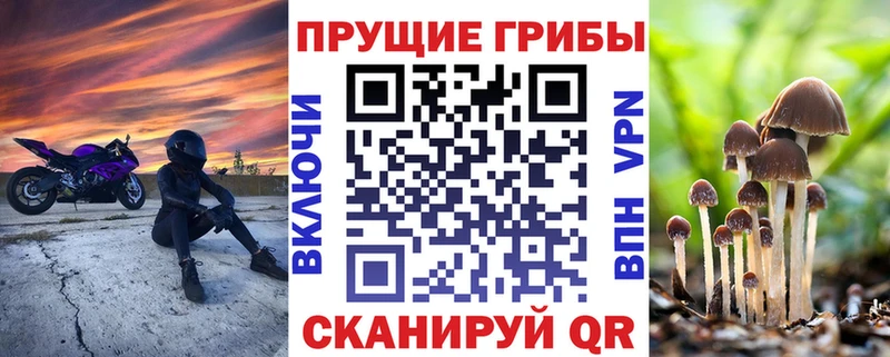 Галлюциногенные грибы прущие грибы  Гороховец 
